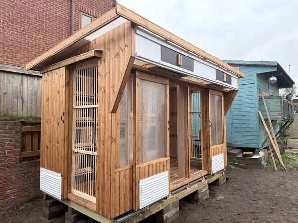 Advance Pent Pigeon Loft with sliding door and mesh section on gravel base