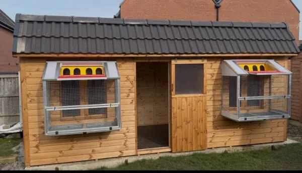 Large Apex Pigeon Loft with multiple aluminium traps, open field installation