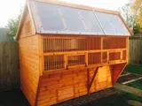 Box Aviary Apex Pigeon Loft with polycarbonate and dowel aviary, heavy duty timber