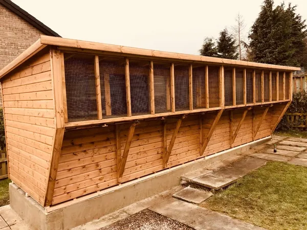 Box Aviary Pent Pigeon Loft large format on concrete base, custom built UK