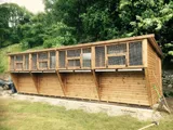 Box Aviary Pent Pigeon Loft with sliding windows, hillside installation