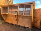 Box Aviary Pent Pigeon Loft long format with mesh compartments and internal perches