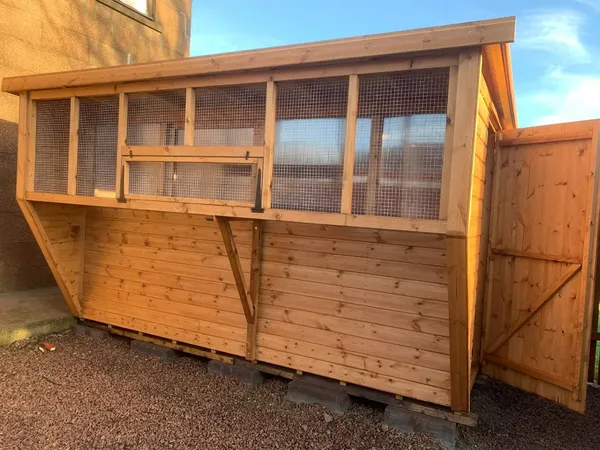 Box Aviary Pent Pigeon Loft long format with mesh compartments and internal perches