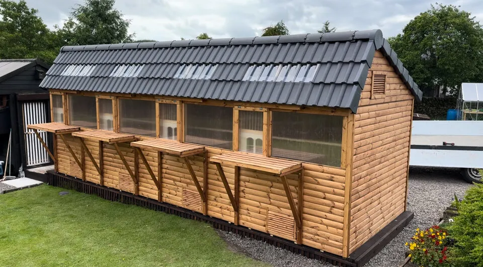 Castle Apex Pigeon Loft with box aviary traps, tiled roof and landing board