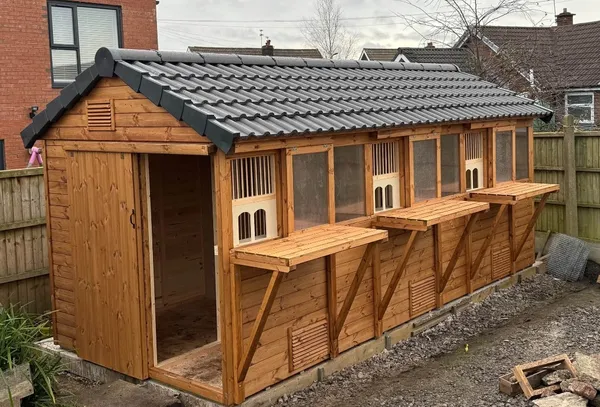Castle Apex Pigeon Loft with multi-pane roof lights and landing boards on paved base