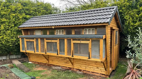 Combi Apex Pigeon Loft with box aviary and ETS traps, tiled roof
