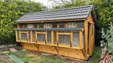 Combi Apex Pigeon Loft with box aviary and ETS traps, tiled roof