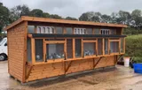 Combi Pent Pigeon Loft with box aviary and felt landing board
