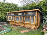 Combi Pent Pigeon Loft with mesh aviary and sliding windows, garden
