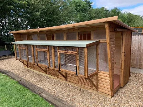 Combi Pent Pigeon Loft with tiled and translucent roof, landing boards and louvered vents