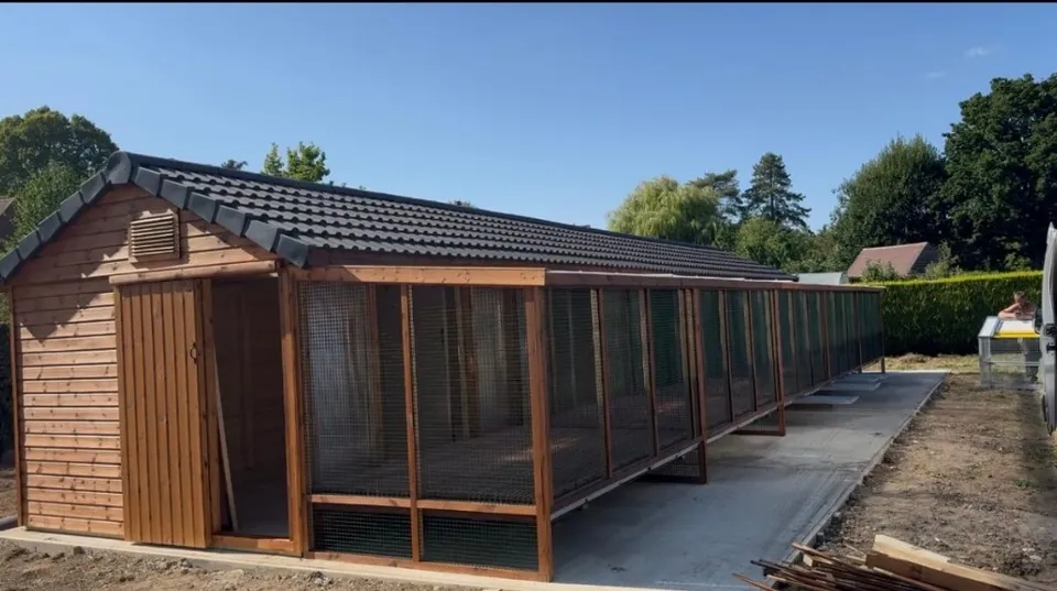 Full Height Aviary Apex Pigeon Loft with large mesh run and tiled roof, UK built