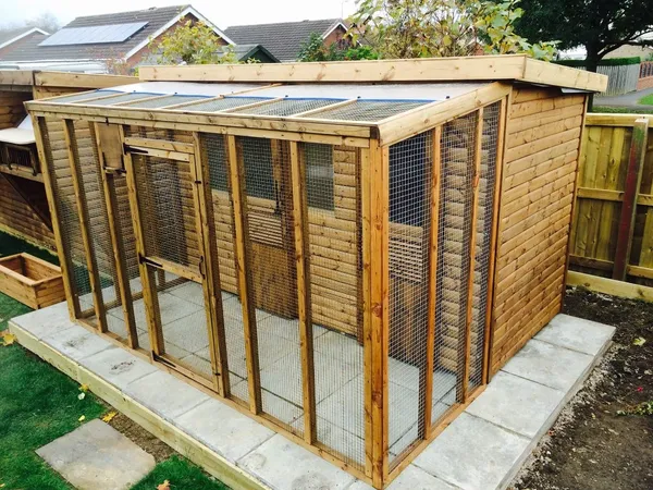 Full Height Aviary Pent Pigeon Loft with polycarbonate roof, on paving base