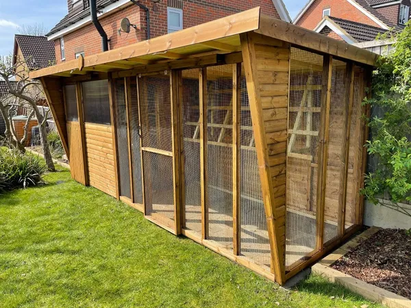 Full Height Aviary Pent Pigeon Loft with translucent roof and mesh run, integrated shed section
