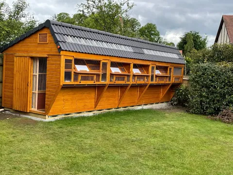 Premier Apex Pigeon Loft with dowel aviary and trap, tiled roof, UK