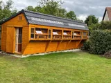 Premier Apex Pigeon Loft with dowel aviary and trap, tiled roof, UK