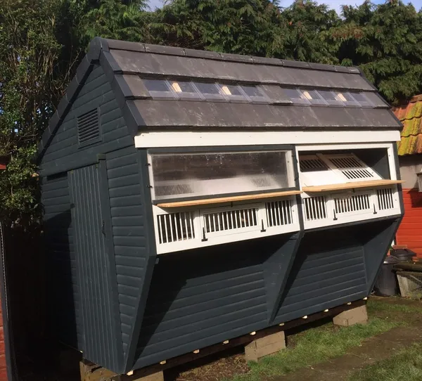 Premier Apex Pigeon Loft dark grey with skylights, white trim and barred trap entries