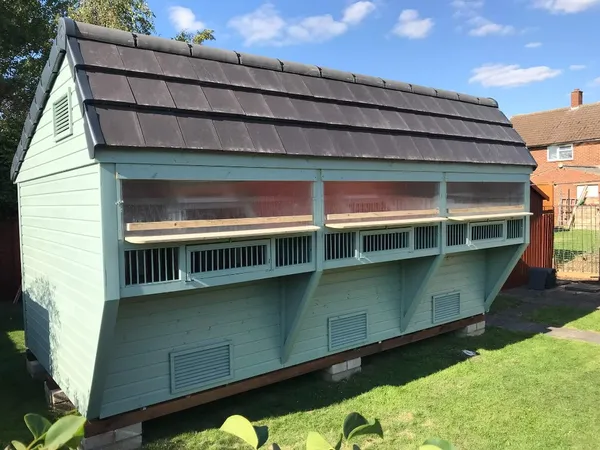 Premier Apex Pigeon Loft with tiled roof, ridge skylights and aviary sections