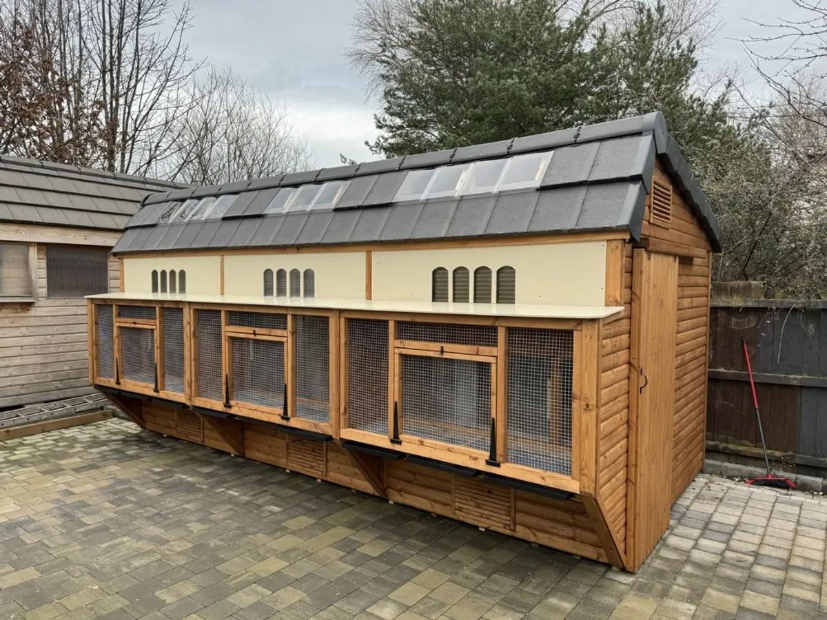 The Ultimate Apex Pigeon Loft—a well-built loft stays dry and draft-free in winter.