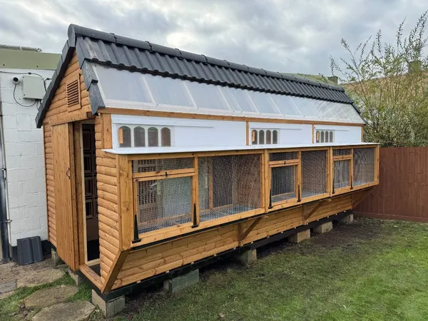The Ultimate Apex Pigeon Loft with translucent roof panels and landing platforms