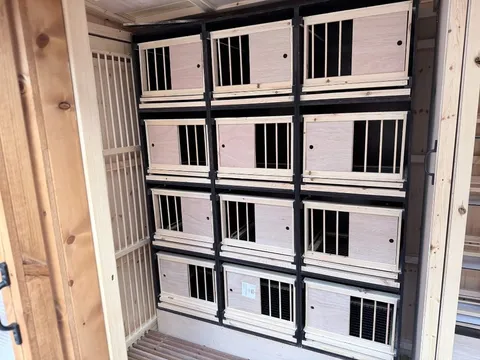 Deluxe up and over nest boxes with pull out tray system