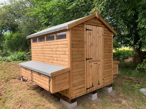 Walk-in poultry shed with massive external nest boxes and felt-covered hinged lids – Ecco Sheds animal housing